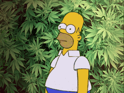 These Memes Are Kinda Stoned…