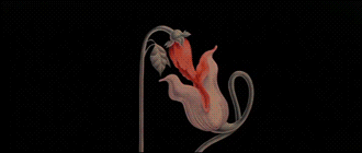 Some Insults Are Just Good…