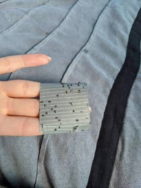 Lifehacks That Actually Work!