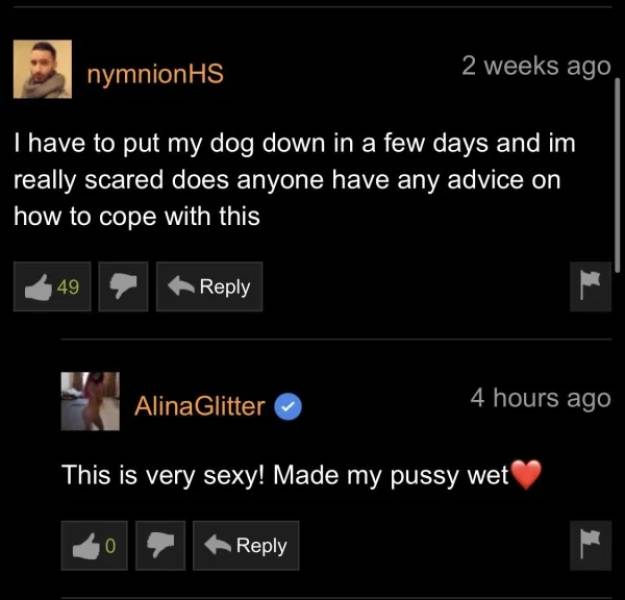 Pornhub’s Comment Section Is A Very Special Place…