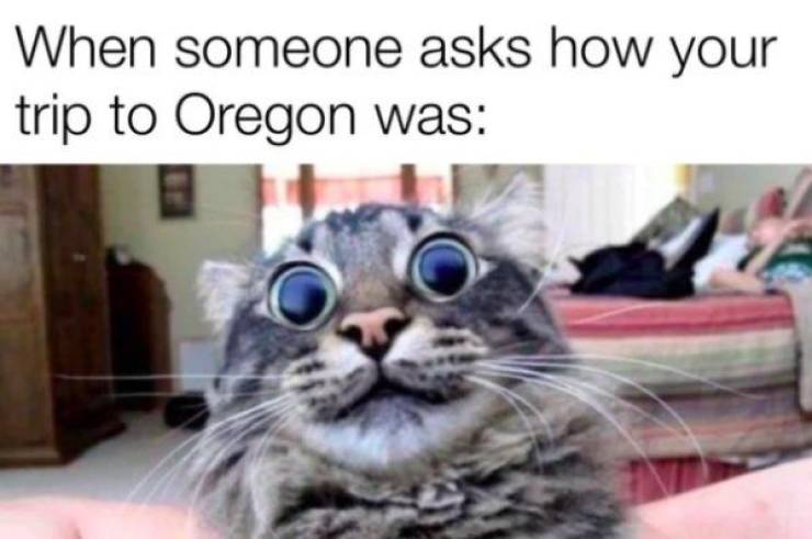 Oregon, US, Has Decriminalized Hard Drugs. Yes, Even Heroin And Cocaine