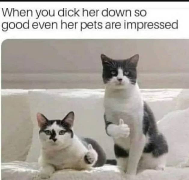 More NSFW Memes! More!