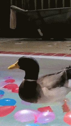 you can fail even if youre hot 26 gifs 9.html - 1 HD GIF | Premium Gallery 2020