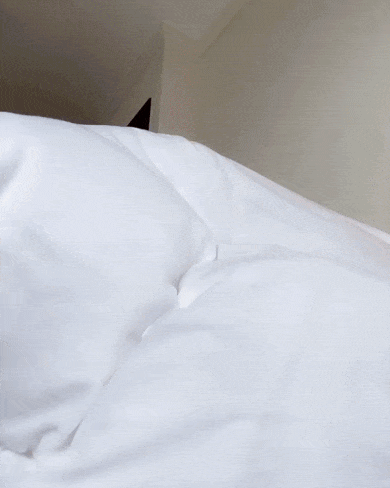 hot girls are here for you 48 gifs 8.html - 1 HD GIF | Premium Gallery 2021