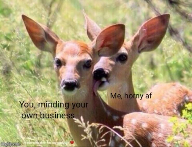 Send These Spicy Memes To Your Special One