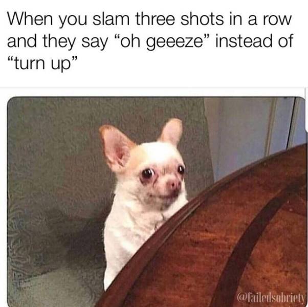 Even More Wasted!
