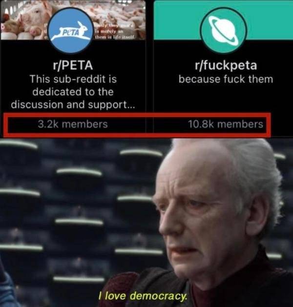 Need Some Dirty Memes?