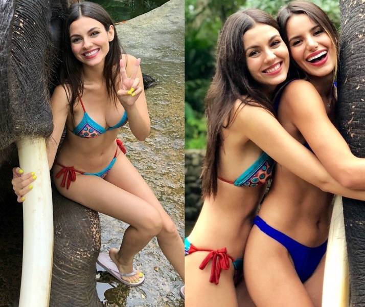 Beautiful Summer Loving Bikini Girls