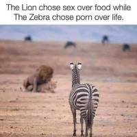 yeah you like these sex memes 56 pics.html - 56 HD Photos | Premium Gallery 2022