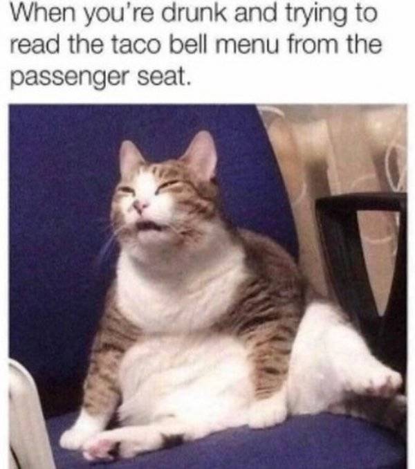 Zero Waste? 100% Wasted!