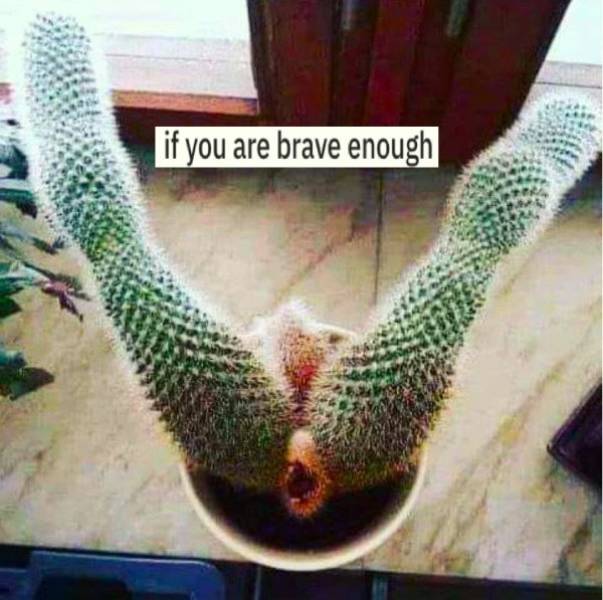 Enjoy The Dirtiness!