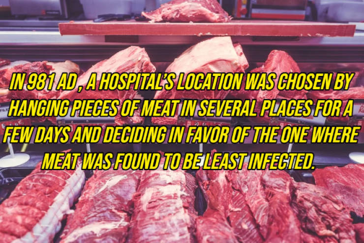 These Facts Are 99% Random And 1% Useless…