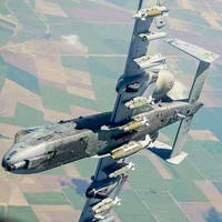 hmm why is this service so popular video.html - 1 HD Video | Premium Gallery 2022