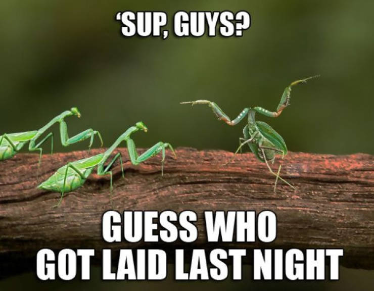Turn Yourself On With These Sex Memes!