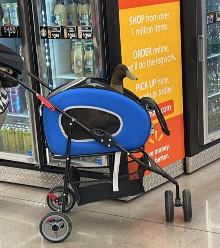 “Walmart” Customers… Enough Said…
