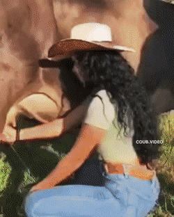 dirty minds only 32 gifs 4.html - 1 HD GIF | Premium Gallery 2021