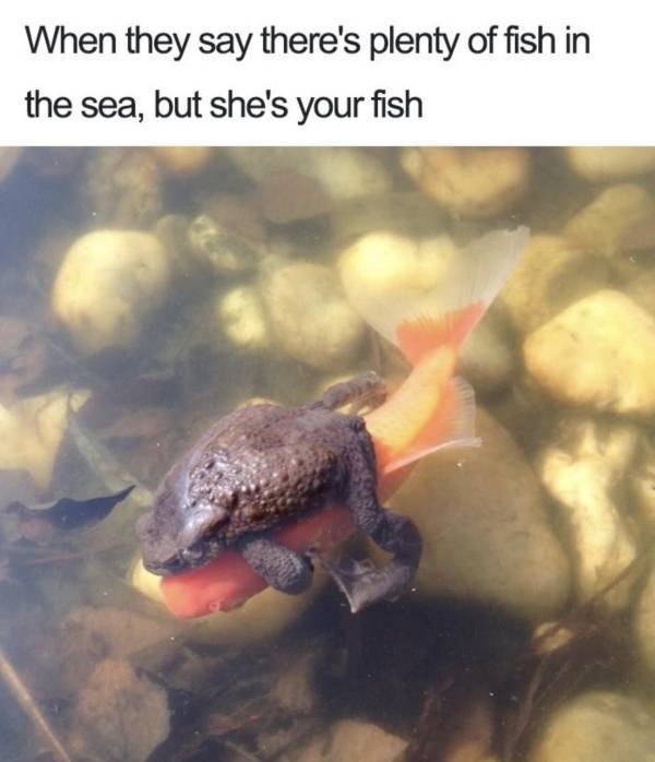 Yeah, You Like These Sex Memes!