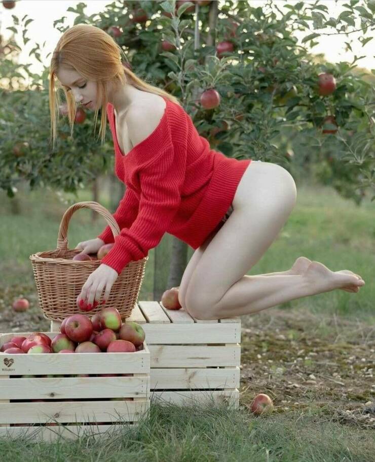 Red Hot Chili Beauties!