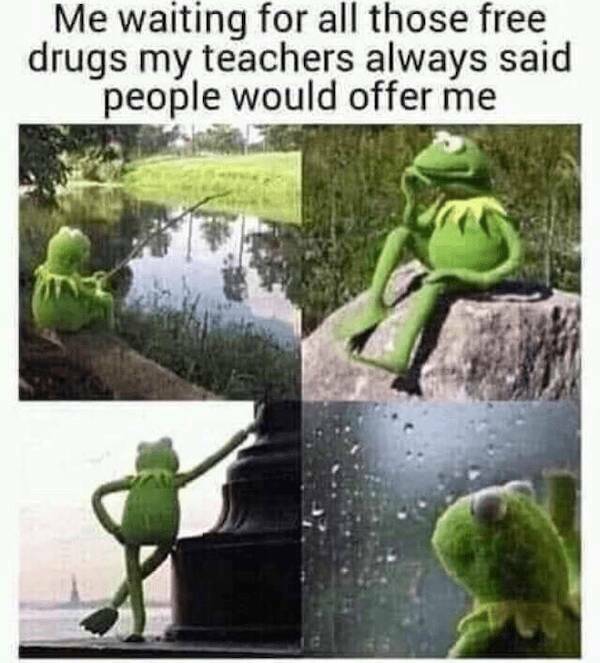 These Memes Are Way Too High!