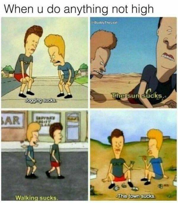 These Memes Are Way Too High!
