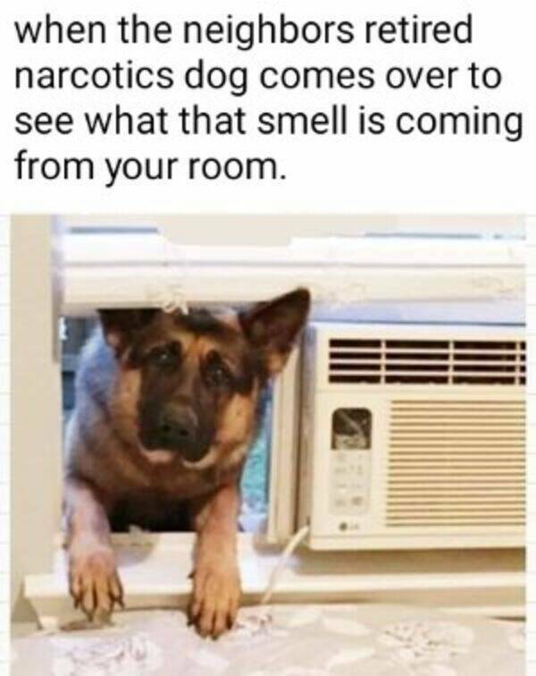 Yeah, That’s Dirty Enough!