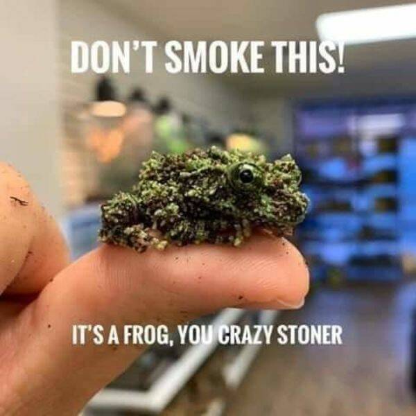 These Memes Are Higher Than The Sky…