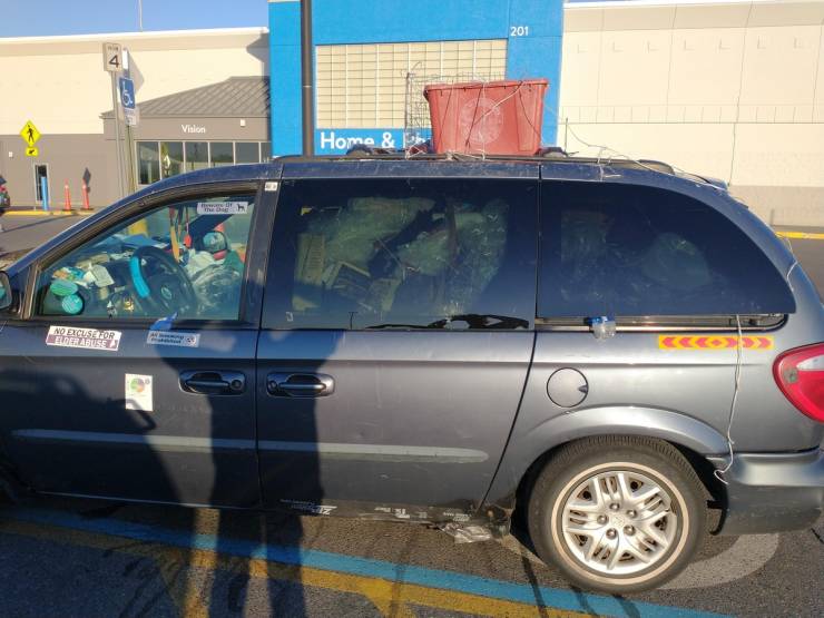 walmart is a wild place 44 pics 9.html - 44 HD Photos | Premium Gallery 2022