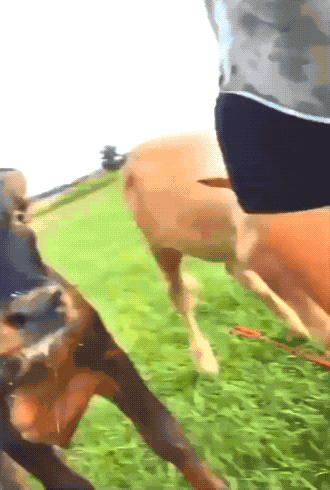 hot girls still fail 42 gifs 11.html - 1 HD GIF | Premium Gallery 2022