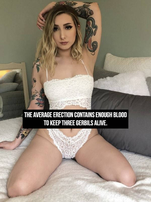 Ooh, These NSFW Facts Are Spicy!