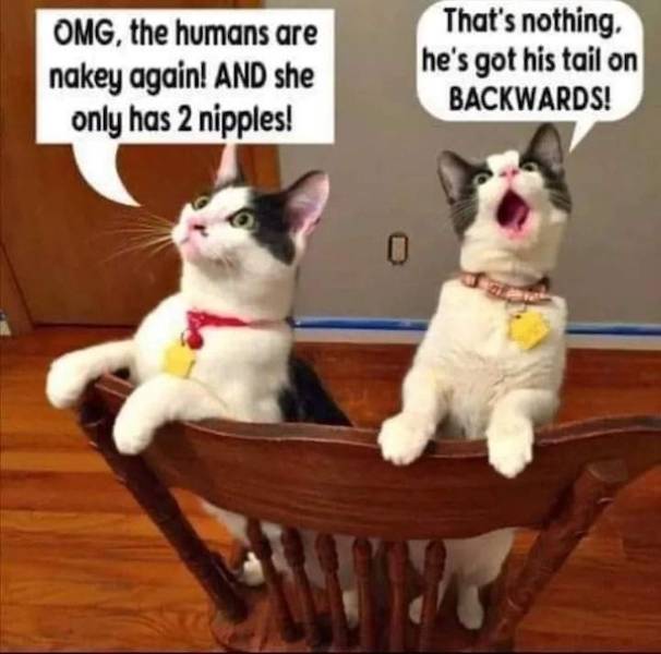 Feed Your Dirty Mind!
