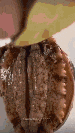 dirty minds only 42 gifs 4.html - 1 HD GIF | Premium Gallery 2022