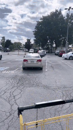 dirty minds only 42 gifs 4.html - 1 HD GIF | Premium Gallery 2022