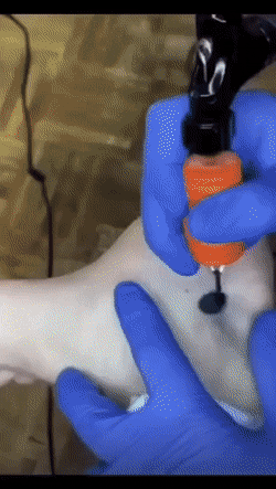 dirty minds only 42 gifs 4.html - 1 HD GIF | Premium Gallery 2022