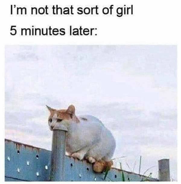 dirty memes only 70 pics 8.html - 70 HD Photos | Premium Gallery 2022