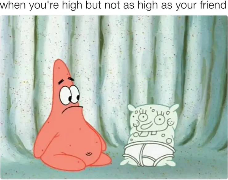 these stoner memes are already high 53 pics 7.html - 53 HD Photos | Premium Gallery 2023