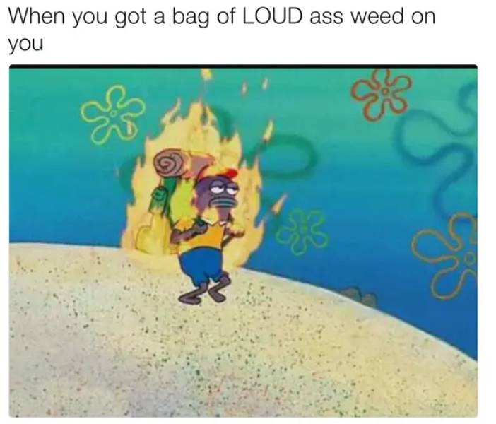 these stoner memes are already high 53 pics 7.html - 53 HD Photos | Premium Gallery 2023