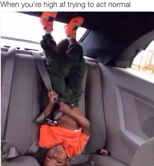 these stoner memes are already high 53 pics 7.html - 53 HD Photos | Premium Gallery 2023