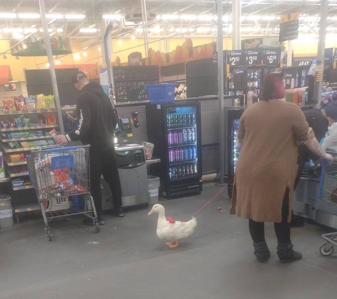 What’s Going On At “Walmart”?!