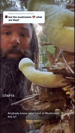 dirty minds only 42 gifs 4.html - 1 HD GIF | Premium Gallery 2023