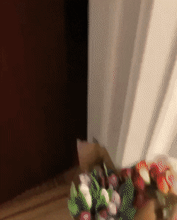dirty minds only 42 gifs 4.html - 1 HD GIF | Premium Gallery 2023