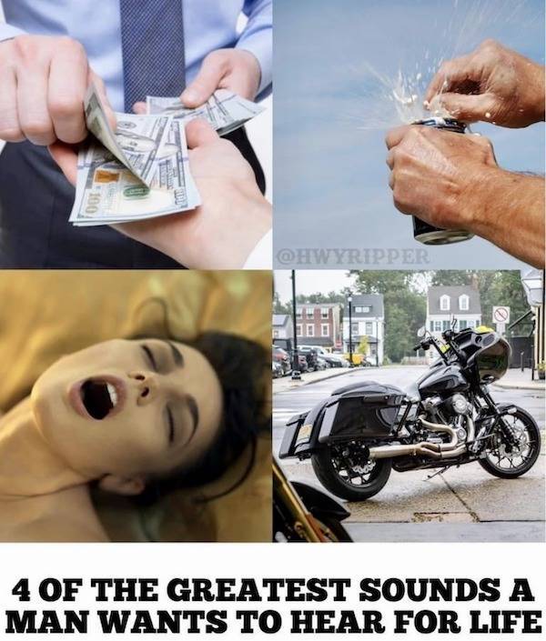 welcome to the memehub 53 pics 1 gif 1.html - 53 HD GIF | Premium Gallery 2023