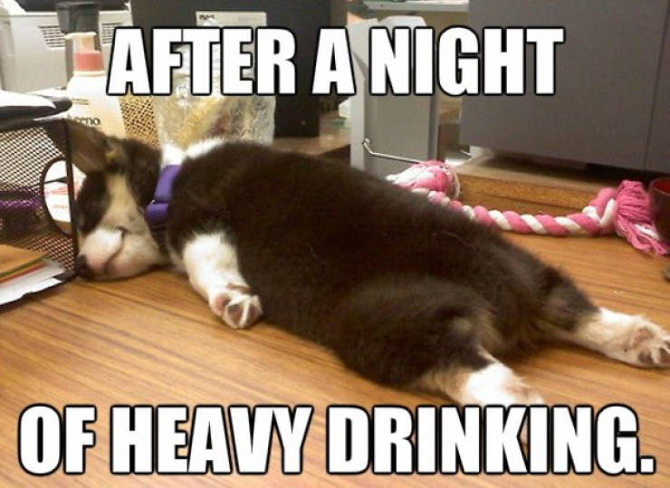 How Drunk Are They?!
