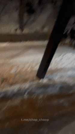 dirty minds only 42 gifs 7.html - 1 HD GIF | Premium Gallery 2023