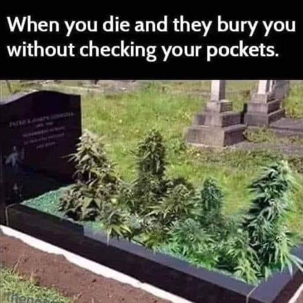 these stoner memes are already high 58 pics 17.html - 58 HD Photos | Premium Gallery 2023