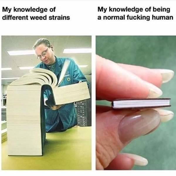 these stoner memes are already high 58 pics 15.html - 58 HD Photos | Premium Gallery 2023