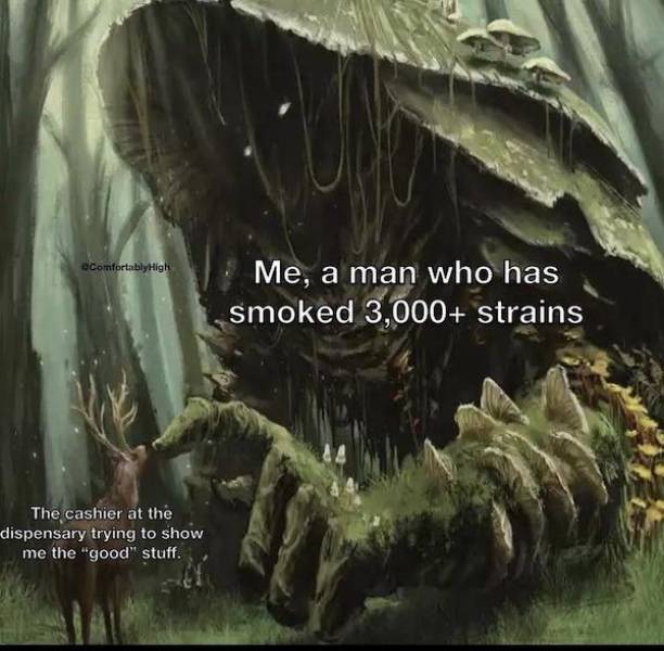 these stoner memes are already high 58 pics 15.html - 58 HD Photos | Premium Gallery 2023