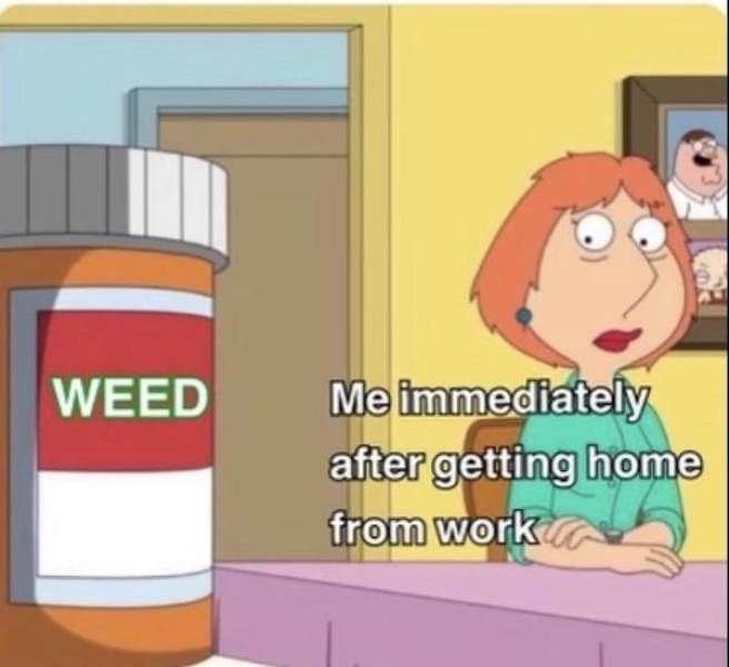 these stoner memes are already high 58 pics 15.html - 58 HD Photos | Premium Gallery 2023