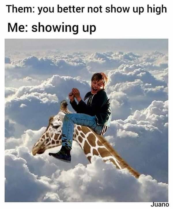 these stoner memes are already high 58 pics 15.html - 58 HD Photos | Premium Gallery 2023
