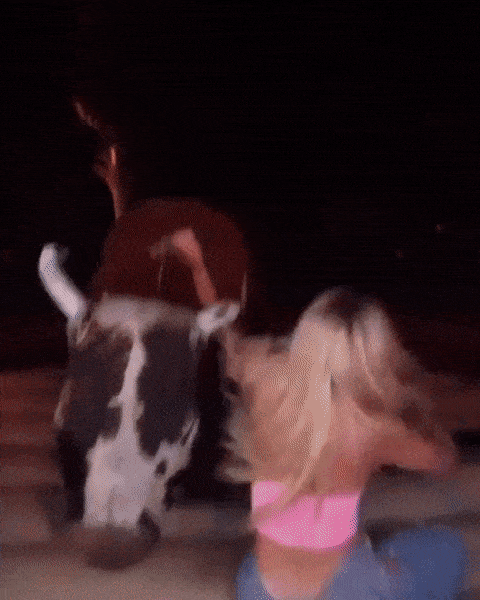 girls having some fun 39 gifs 1.html - 1 HD GIF | Premium Gallery 2023