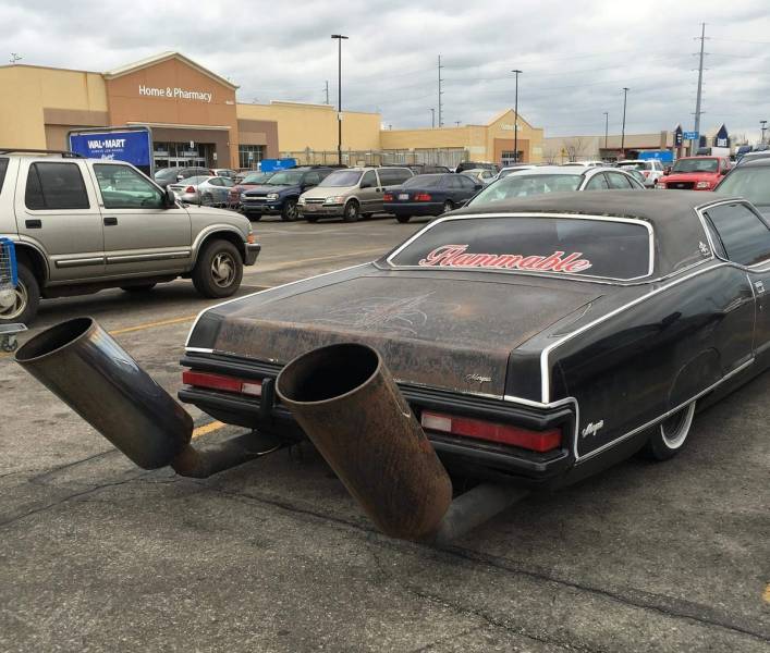 walmart visitors are very special 56 pics 22.html - 56 HD Photos | Premium Gallery 2023